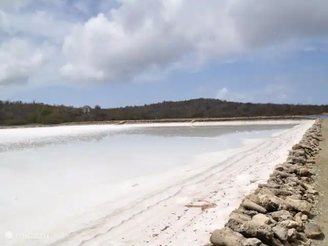 Bon Bineke huren in Curaçao, Banda Ariba (oost), Jan Thiel - villa Zoutpannen van Jan Thiel op loopafstand