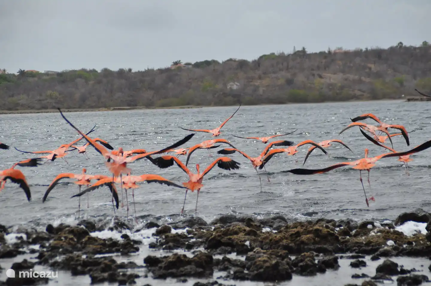 Salinen von Jan Thiel zu Fuß erreichbar
