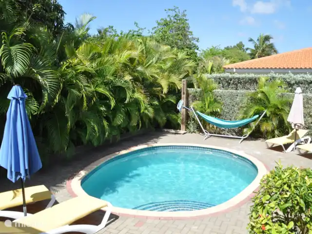 Bon Bineke huren in Curaçao, Banda Ariba (oost), Jan Thiel - villa Ovaal zwembad ongeveer 20M2 met een schuinaflopende bodem.