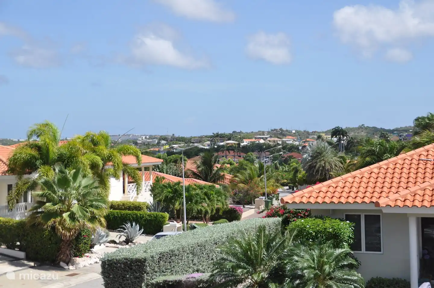 Schöne Aussicht und schön im Wind