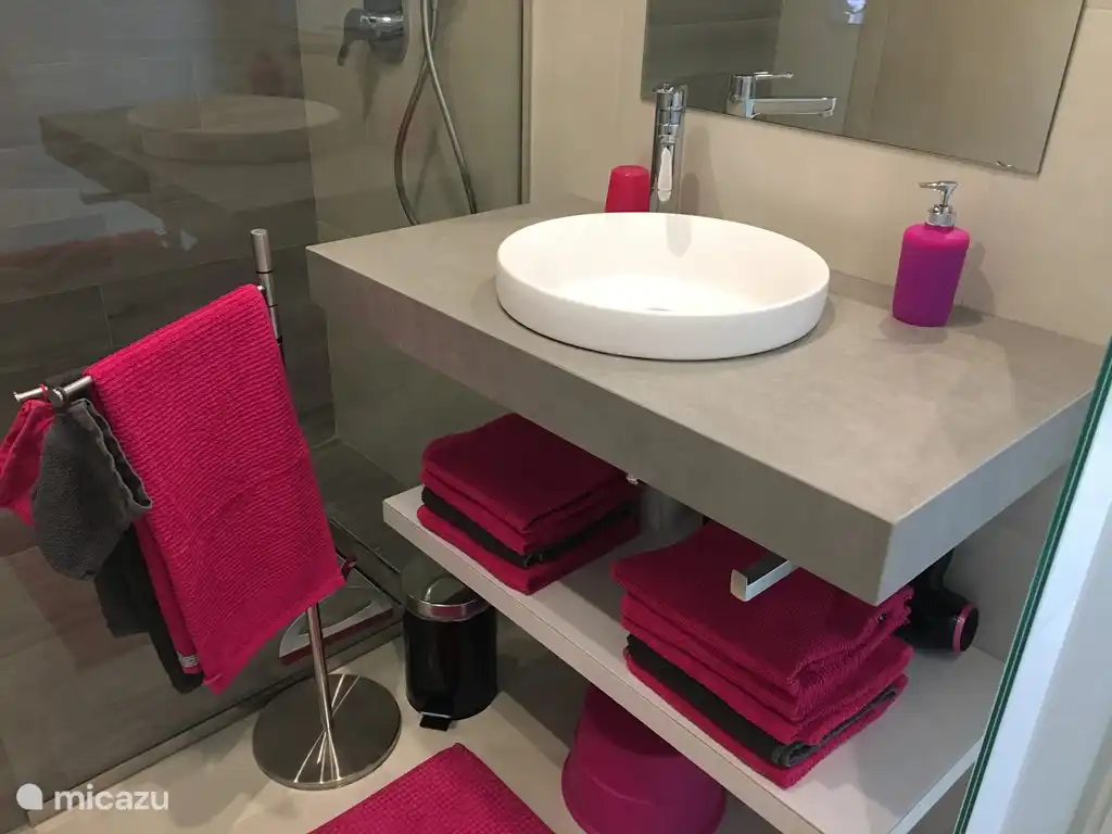 Bathroom 1 with walk-in shower (shower) and toilet.