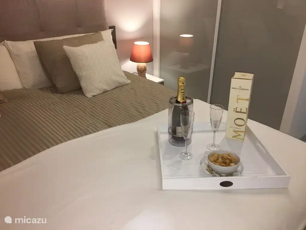 Master bedroom with large built-in closet and private bathroom.