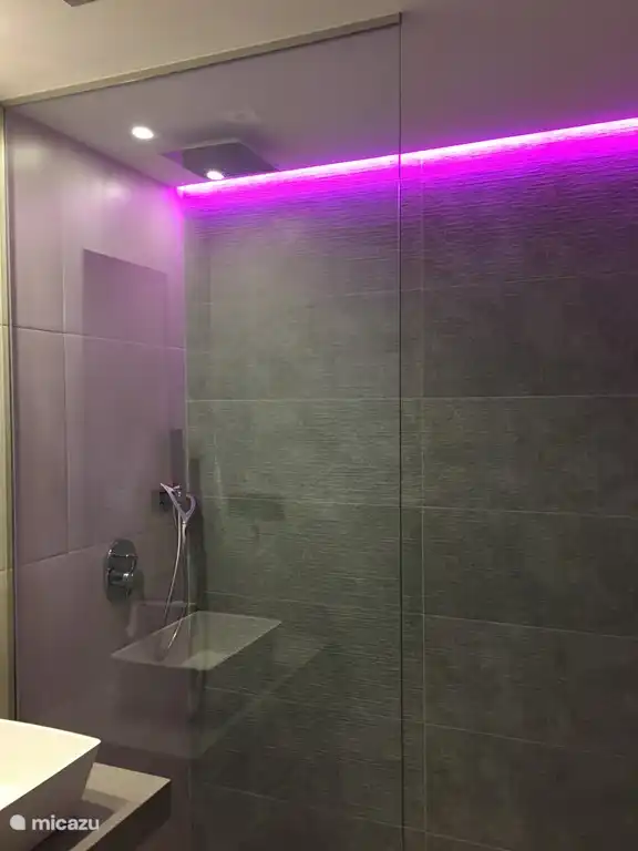 Bathroom 2 with toilet and walk-in shower. Provides ambience lighting.