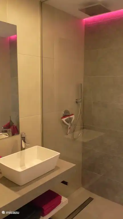 Bathroom 2 with private toilet, rain shower and sink.