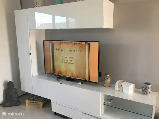 Penthouse Casa Esmeralda | Espagne, Costa Blanca, Torrevieja - appartement L'appartement dispose d'une télévision très moderne avec TOUTES les chaînes de télévision néerlandaises + NETFLIX GRATUIT. TOUTES les chaînes de télévision allemandes, belges, anglaises, françaises, espagnoles, danoises, finlandaises, norvégiennes, américaines, turques et italiennes sont également disponibles !
