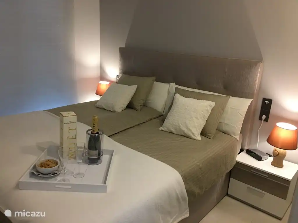 Master bedroom with private bathroom, toilet and air conditioning / heating.