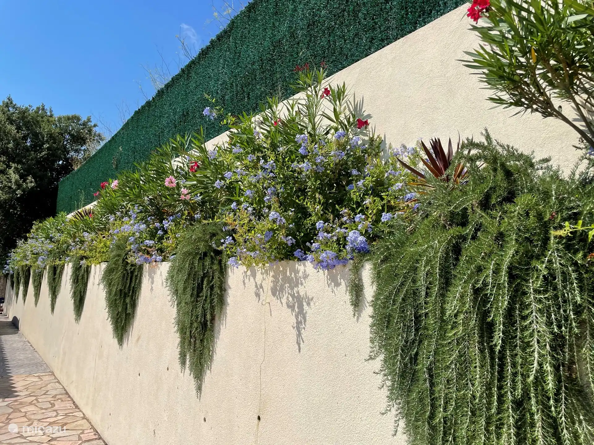 Jardin bordant terrasse et parking