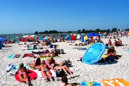 Vakantiehuis Nederland, Friesland, Makkum chalet Chalet K29 in Makkum Strand