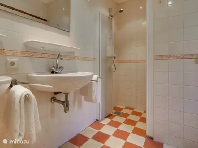Ferme Pretoria pour 8 personnes. | Pays-Bas, Gueldre, Hengelo - maison de vacances Salle de bain attenante au rez-de-chaussée