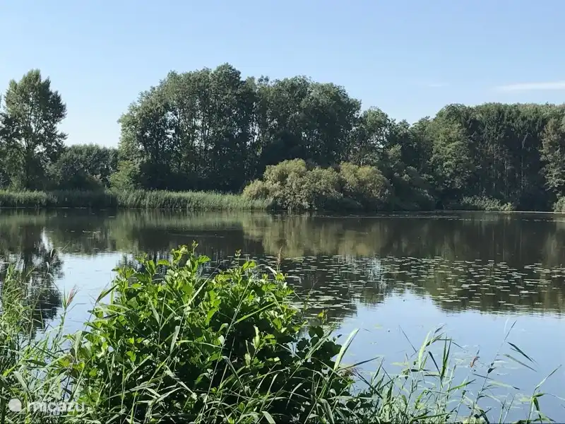 der Wirbel von endlosen Wasserspaß