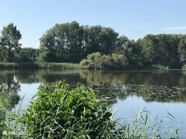 Tussen Ysselt, ferme de 14 personnes | Pays-Bas, Gueldre, Hoog-Keppel - maison de vacances le vortex pour un plaisir aquatique sans fin