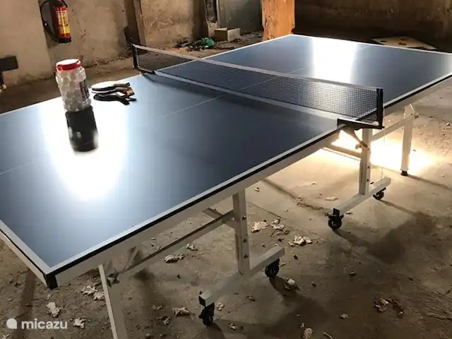 Tussen Ysselt, ferme de 14 personnes | Pays-Bas, Gueldre, Hoog-Keppel - maison de vacances table de ping pong