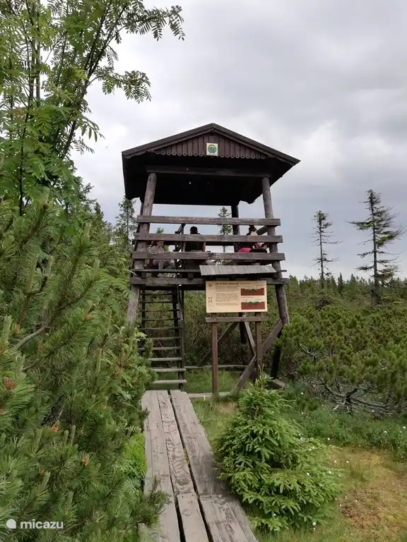 Uitzichttoren moeras Cerna Hora
