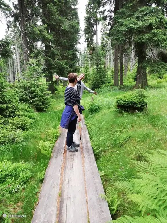 wandeling door Moeras Cerna Hora