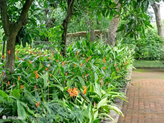 Location de Vacances Indonésie, Bali, Pemuteran, villa - Villa Mera