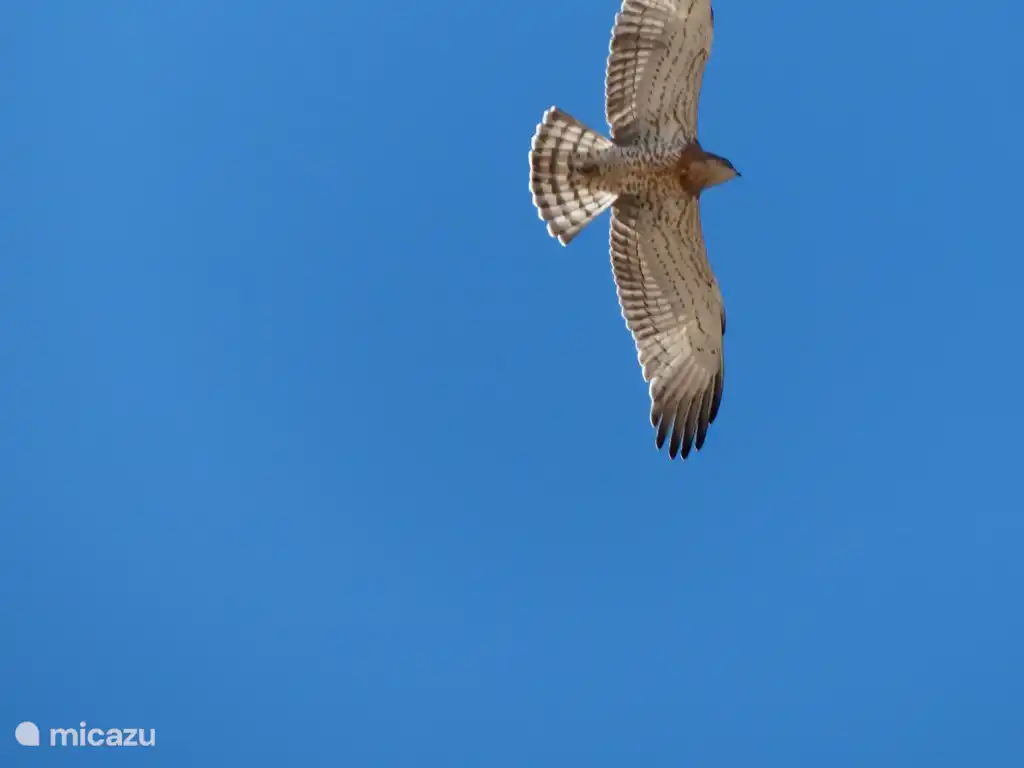 Te invitan a mirar la vida desde otra perspectiva