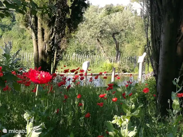 Casetta Degli Angeli | Italie, Ombrie, Ficulle - maison de vacances Vue jusqu'à l'étang de baignade