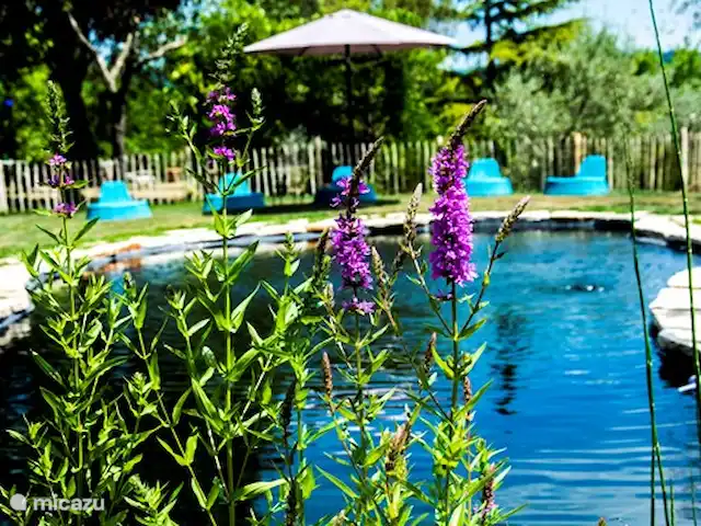 Casetta Degli Angeli | Italie, Ombrie, Ficulle - maison de vacances étang de baignade vu de la partie végétale, où l'eau est purifiée