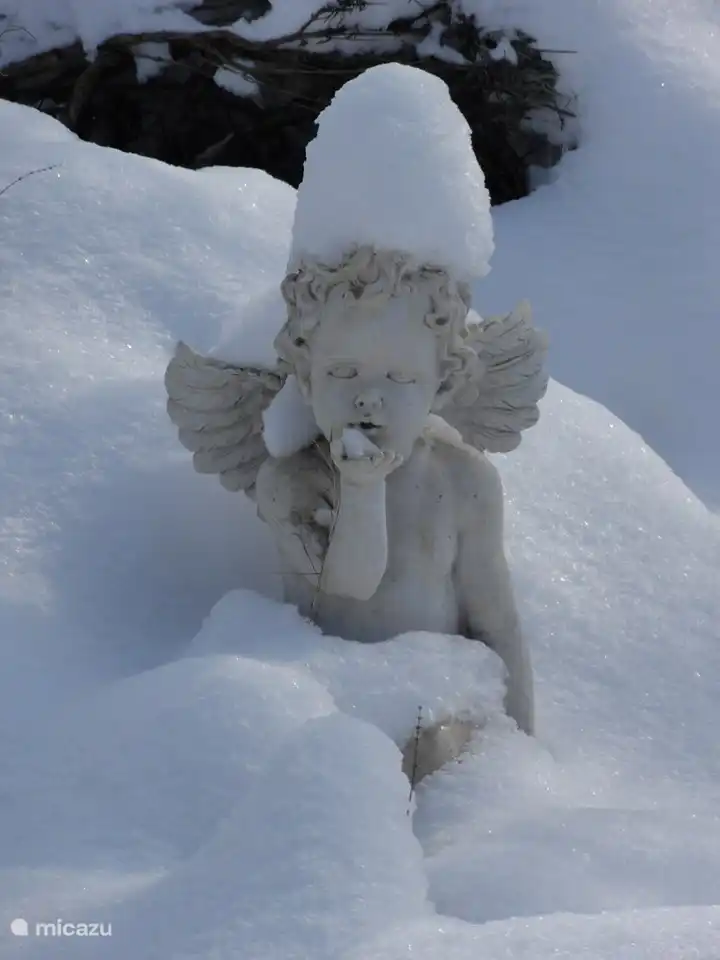 SchneeEngel im Park von alsettimocielo