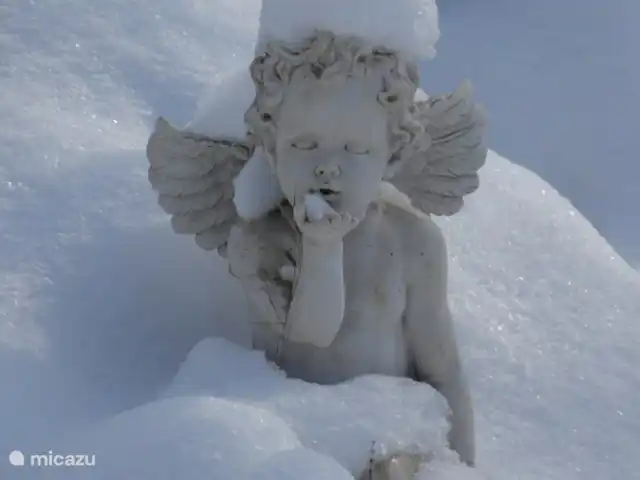Casetta Degli Angeli | Italie, Ombrie, Ficulle - maison de vacances ange des neiges dans le parc d'alsetimocielo