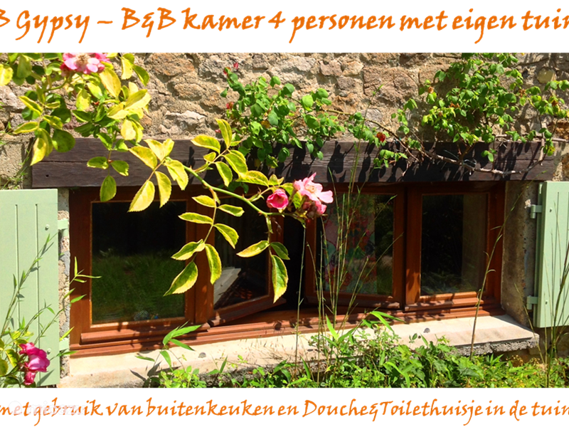 Holiday home in France, Charente, Mazières Apartment Family room (external shower / toilet)