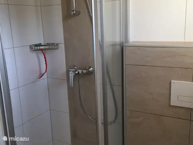 Berghaus Christel en Austria, Carintia, Arnoldstein - casa vacacional Cuarto de baño 1 con ducha, inodoro, lavabo y suficiente espacio para todos los artículos de tocador.