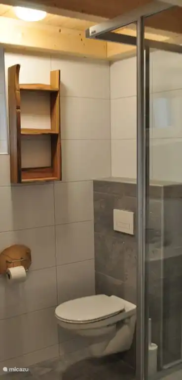salle de bain 2 avec douche, WC, lavabo et suffisamment d'espace pour tous les articles de toilette