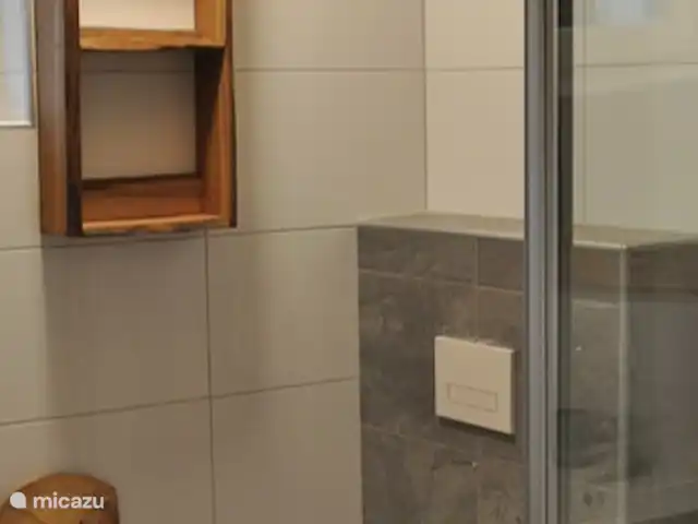 Berghaus Christel en Austria, Carintia, Arnoldstein - casa vacacional baño 2 con ducha, inodoro, lavabo y suficiente espacio para todos los artículos de tocador