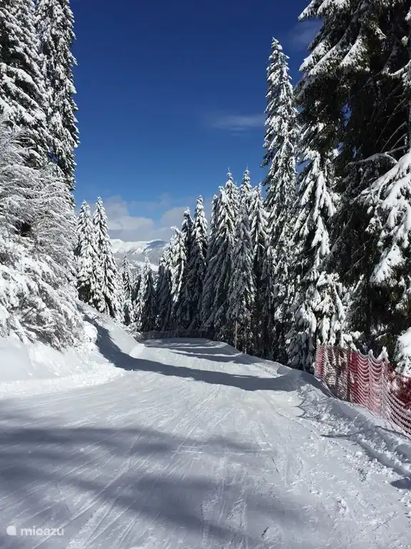 Ski dans la ville voisine de Nassfeld. Plus de 100 km de pistes ! Ce plus grand domaine skiable de Carinthie se trouve à seulement 30 minutes en voiture.