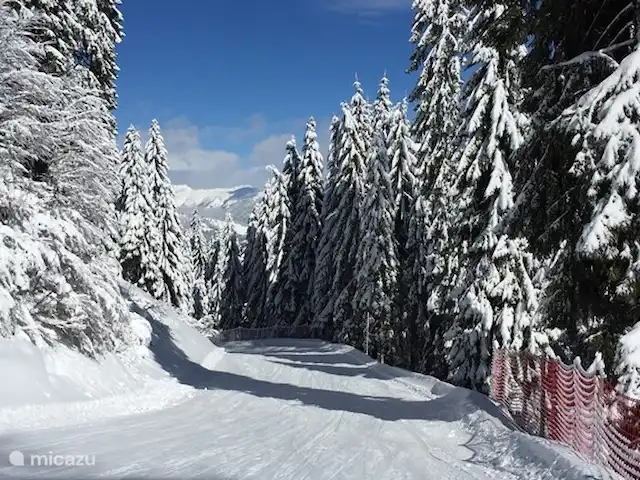 Berghaus Christel en Austria, Carintia, Arnoldstein - casa vacacional Esquiar en las cercanías de Nassfeld. ¡Más de 100 km de pistas! Esta zona de esquí más grande de Carintia está a solo 30 minutos en coche.
