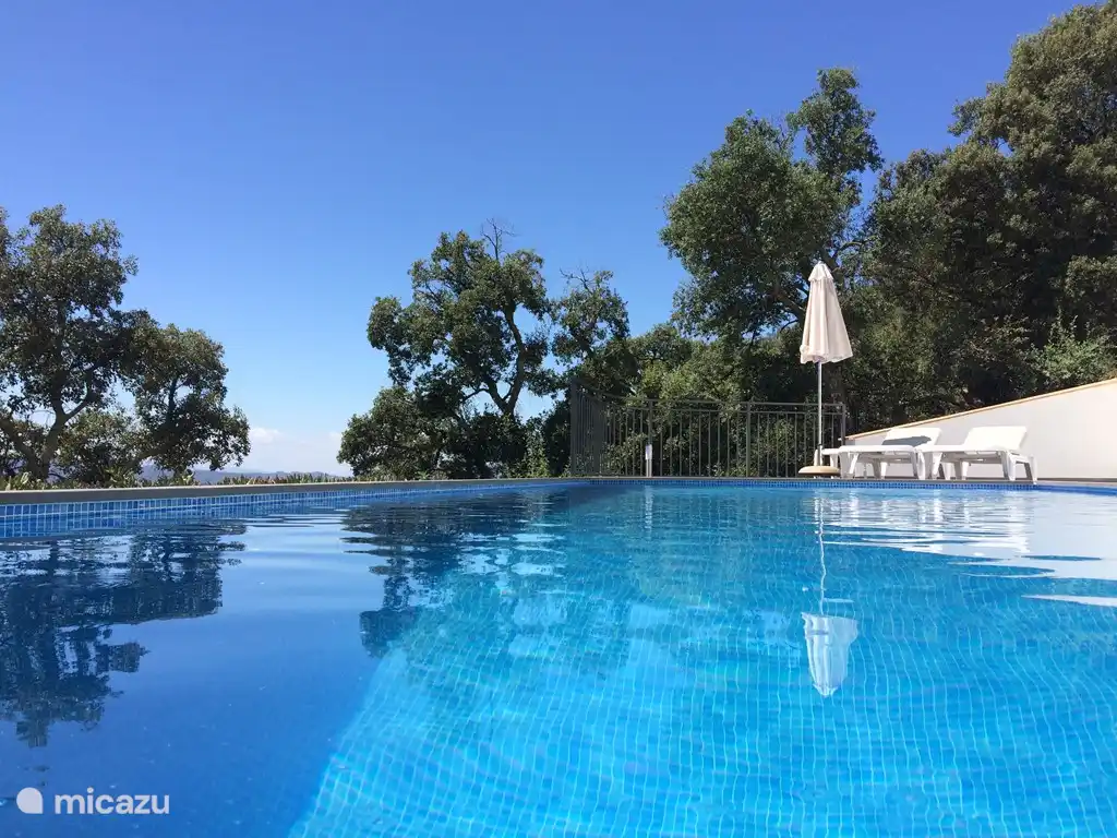 Villa Sandra in Spain, Costa Brava, Santa Cristina d&#39;Aro - Villa