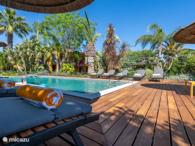 quinta amarela en Portugal, Algarve, Moncarapacho - villa Quinta Amarela