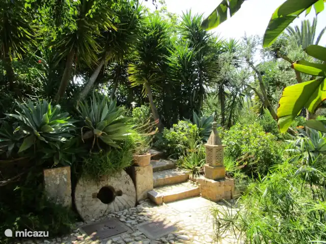 quinta amarela en Portugal, Algarve, Moncarapacho - villa Escaleras a la veranda o al jardín