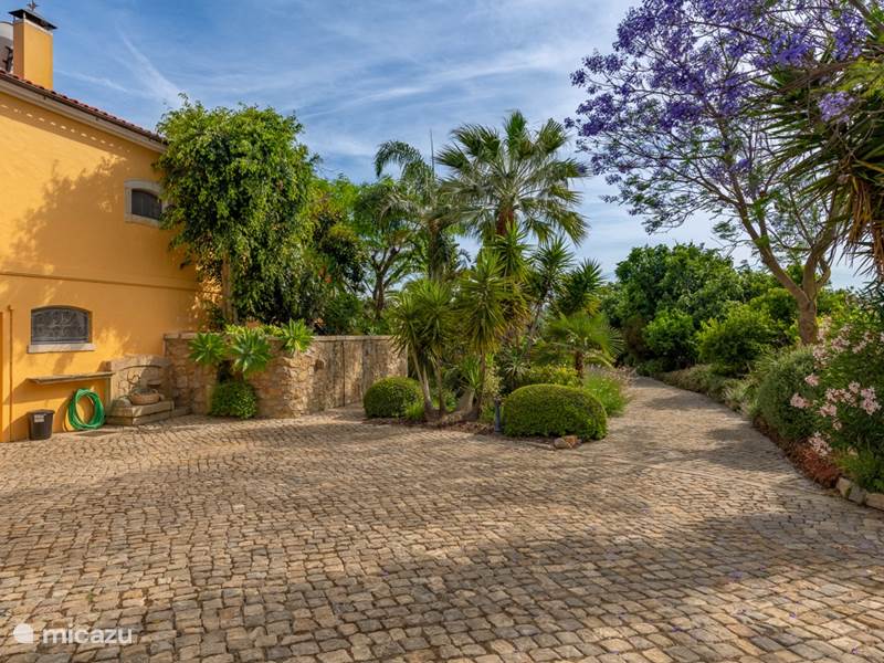 Holiday home in Portugal, Algarve, Moncarapacho Villa Quinta Amarela