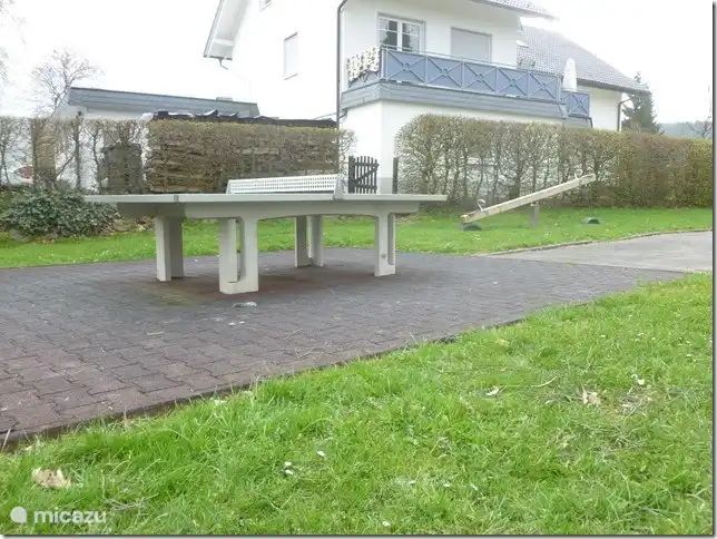 tenis de mesa disponible en el patio de recreo detr&#225;s de la casa.