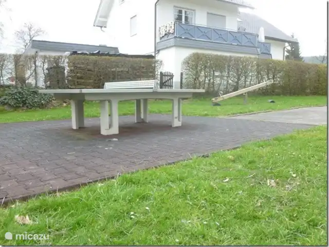 sémola de la casa en Alemania, Sauerland, Winterberg - casa vacacional tenis de mesa disponible en el patio de recreo detrás de la casa.