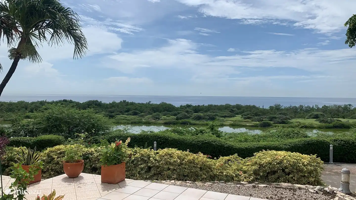 Vue depuis la terrasse