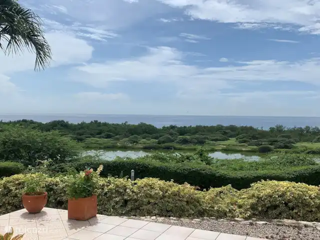Royal Palm Resort Baie de Piscadera | Curaçao, Curaçao-Centre, Willemstad - appartement Vue depuis la terrasse