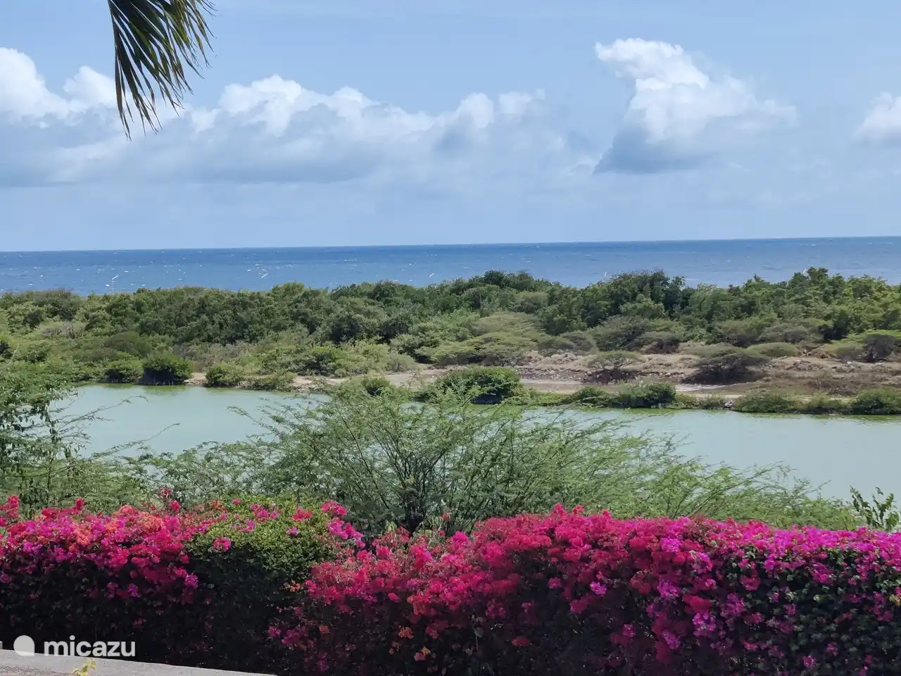 Vue depuis la terrasse à la lumière du jour