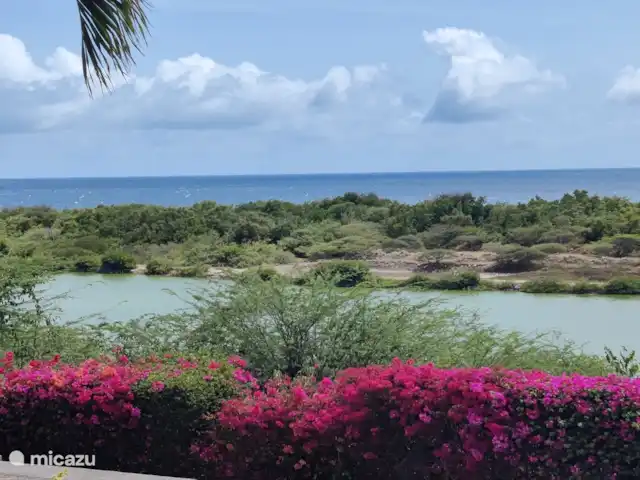 Royal Palm Resort Baie de Piscadera | Curaçao, Curaçao-Centre, Willemstad - appartement Vue depuis la terrasse à la lumière du jour