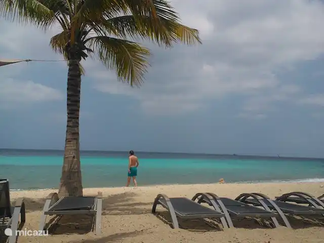 Royal Palm Resort Baie de Piscadera | Curaçao, Curaçao-Centre, Willemstad - appartement Plage de Koko
