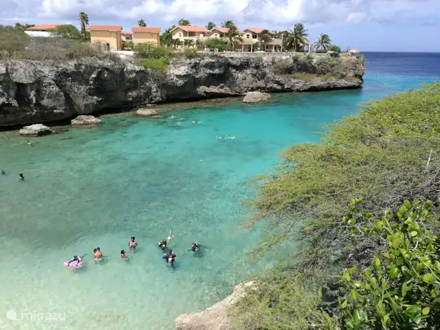 Royal Palm Resort Baie de Piscadera | Curaçao, Curaçao-Centre, Willemstad - appartement Plongée à Lagun (pointe ouest)