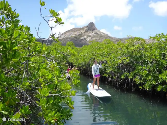 Royal Palm Resort Baie de Piscadera | Curaçao, Curaçao-Centre, Willemstad - appartement SUP en pleine nature sur les eaux espagnoles