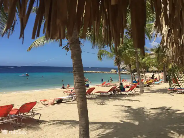 Royal Palm Resort Baie de Piscadera | Curaçao, Curaçao-Centre, Willemstad - appartement Plage de Blue Bay, à proximité