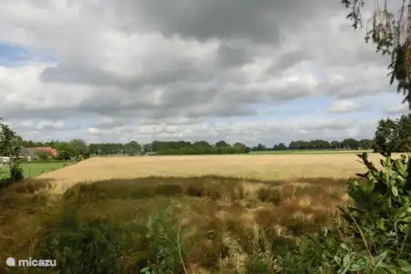 Vakantiehuis Nederland, Drenthe, Schoonoord vakantiehuis Sarah uitzicht