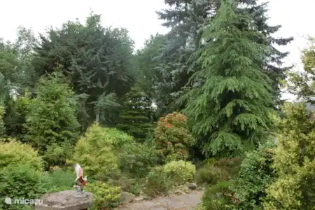 Vakantiehuis Nederland, Drenthe, Schoonoord vakantiehuis Sarah voortuin