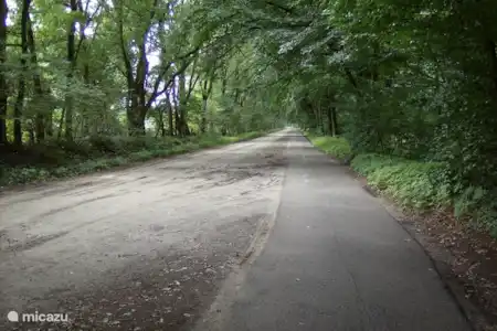 Vakantiehuis Nederland, Drenthe, Schoonoord vakantiehuis Sarah fietspad