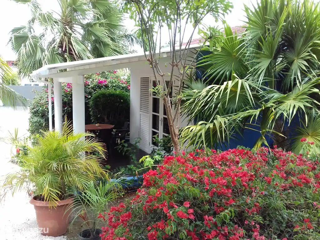 Studio Catootje Curacao in Curaçao, Curacao-Mitte, Gaito - studio