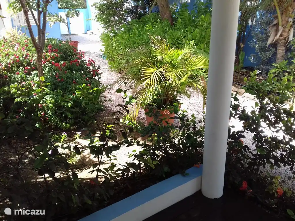 Genießen Sie den tropischen Garten von der Terrasse