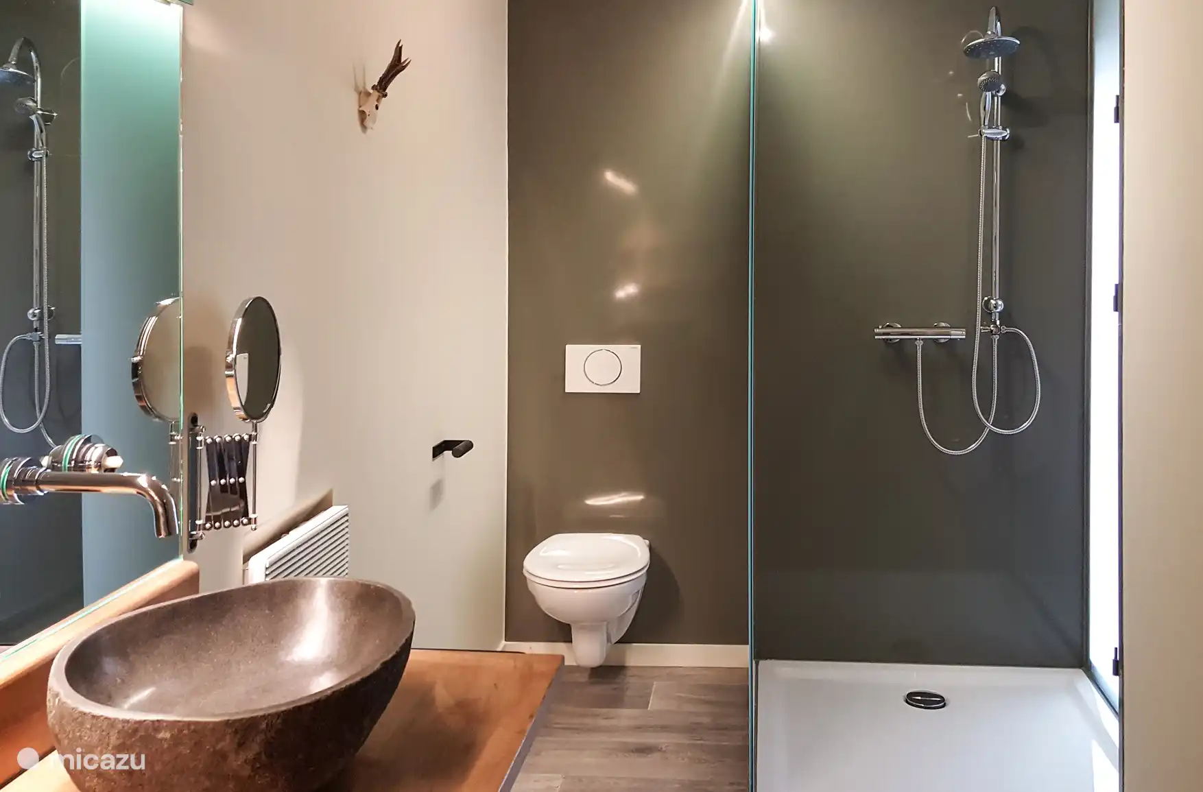 Badkamer met douche en toilet.